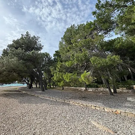 Vomer Beachside Unit *