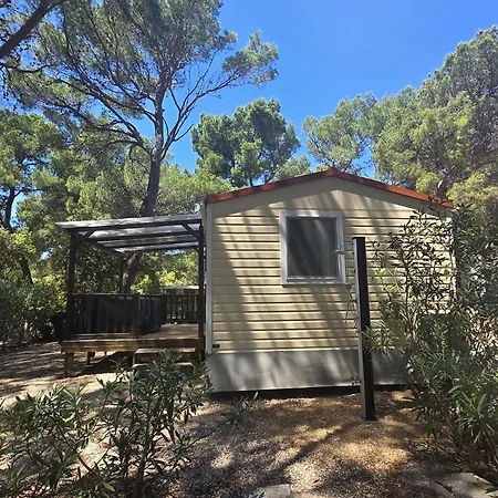 Vomer Beachside Unit Kamp alanı *