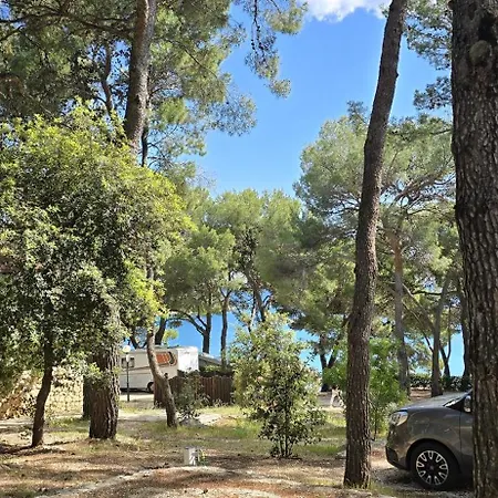 Κάμπινγκ Vomer Beachside Unit