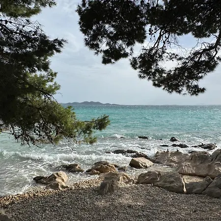 Κάμπινγκ Vomer Beachside Unit