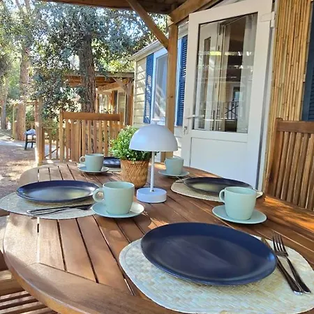 Units Vomer * 파코스탄